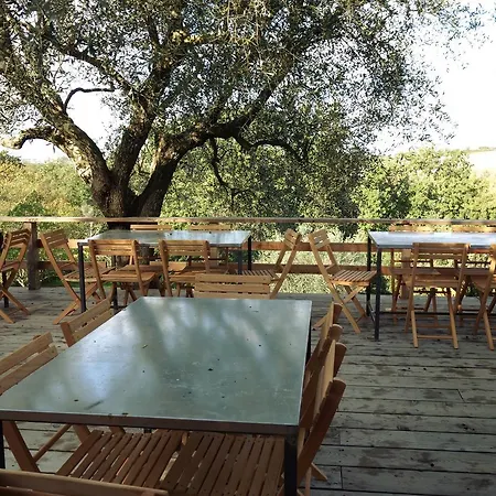 Farm stay Madonnella Agricola Cesano