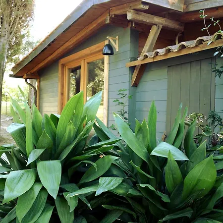 Madonnella Agricola Farm stay