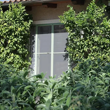 Farm stay Madonnella Agricola Cesano