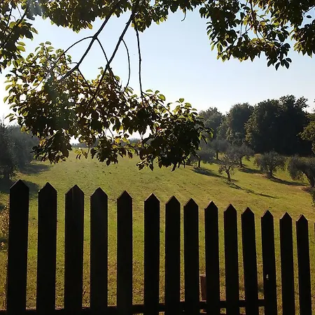 Farm stay Madonnella Agricola *