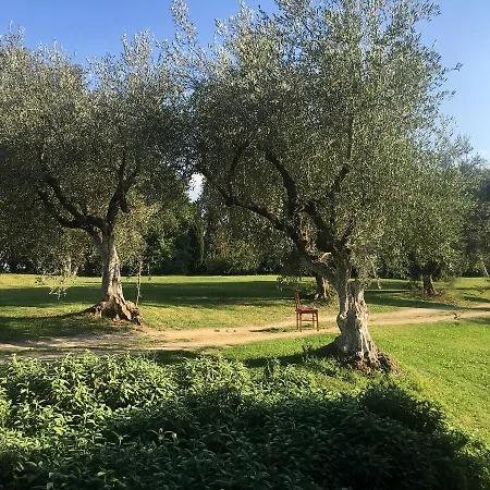 Madonnella Agricola