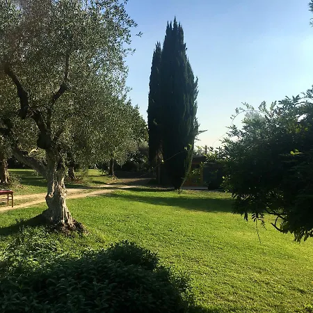 Madonnella Agricola