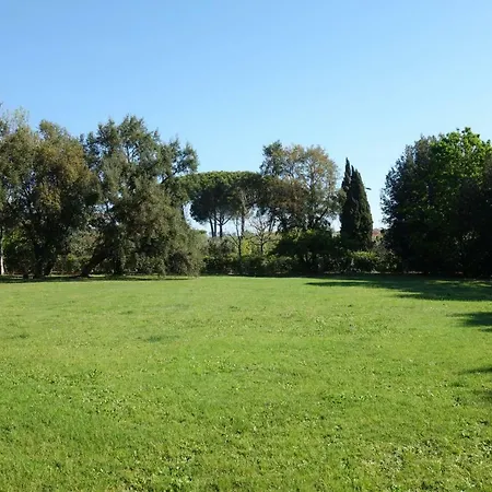 Madonnella Agricola *