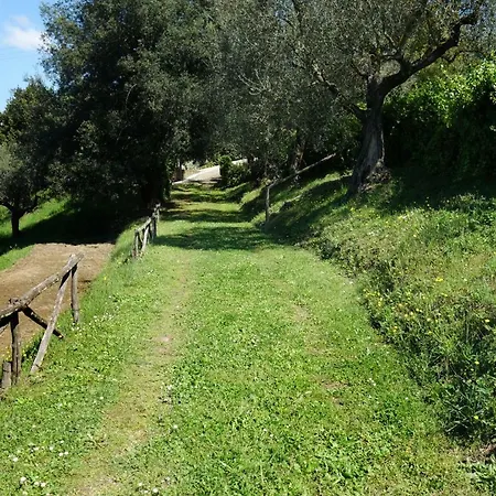 Farm stay Madonnella Agricola *