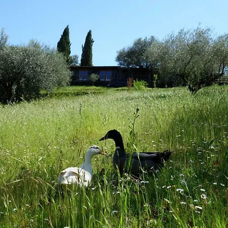 Madonnella Agricola Farm stay *