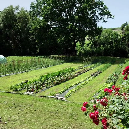 Madonnella Agricola Farm stay