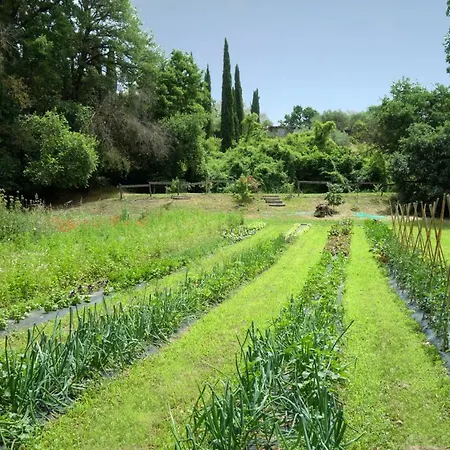Madonnella Agricola