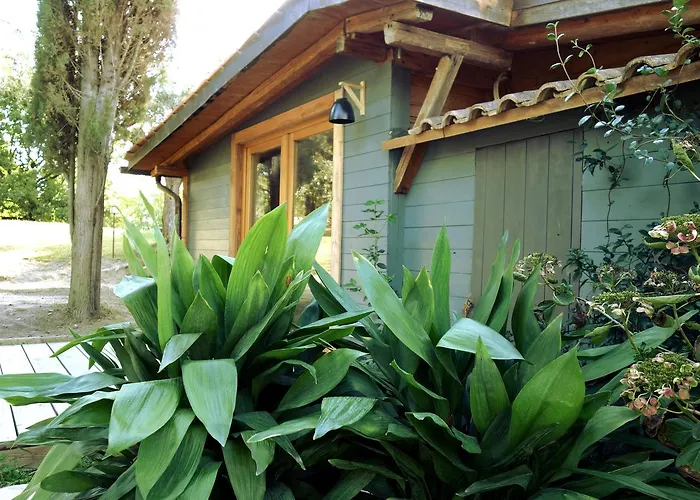 Madonnella Agricola Agroturismo