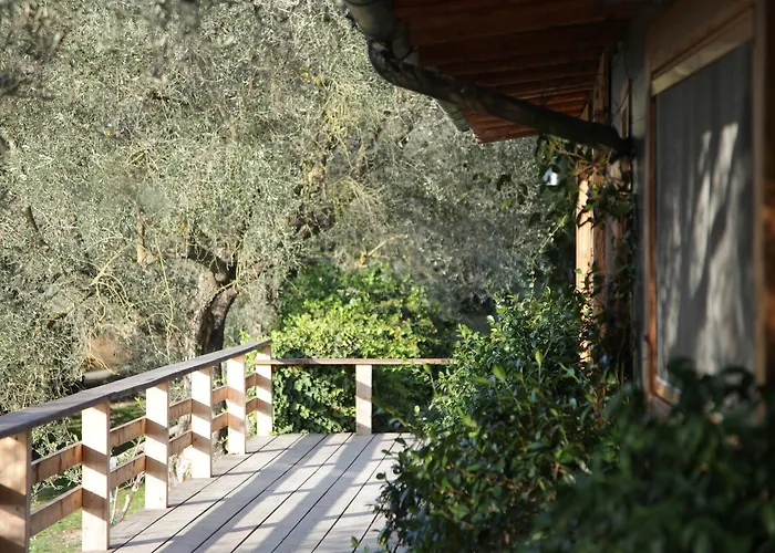 Madonnella Agricola Agroturismo