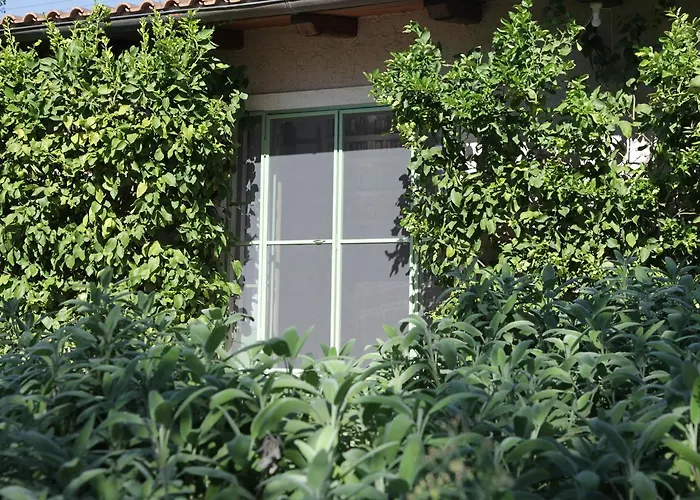 Agroturismo Madonnella Agricola Cesano