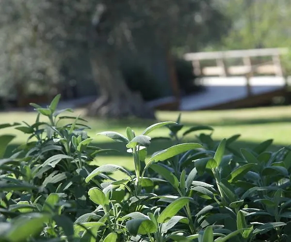 Madonnella Agricola *