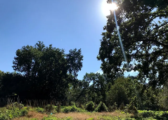 Agroturismo Madonnella Agricola *