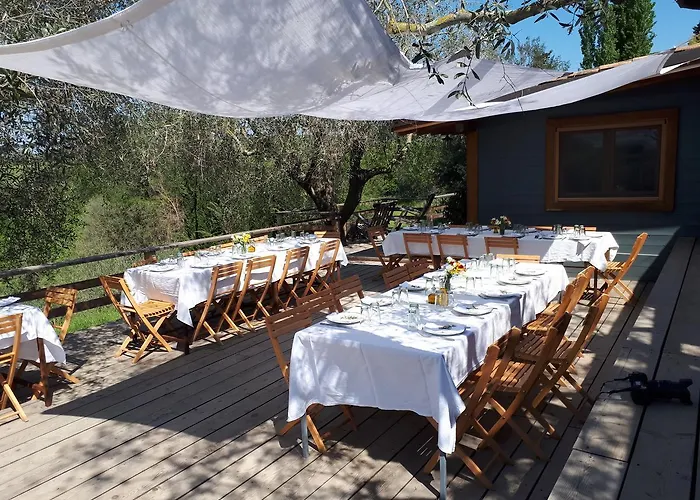 Agroturismo Madonnella Agricola *