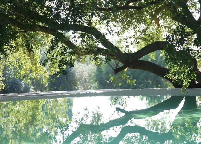 Madonnella Agricola Agroturismo Cesano