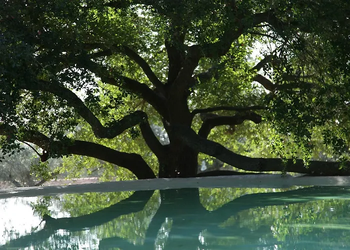 Madonnella Agricola Agroturismo Cesano