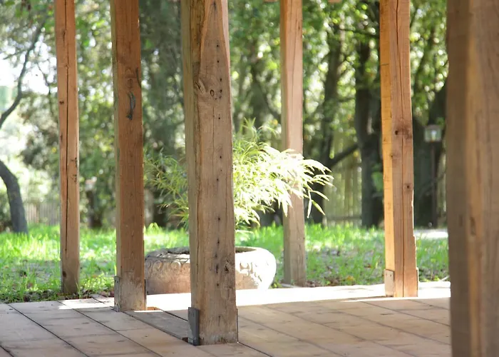 Agroturismo Madonnella Agricola