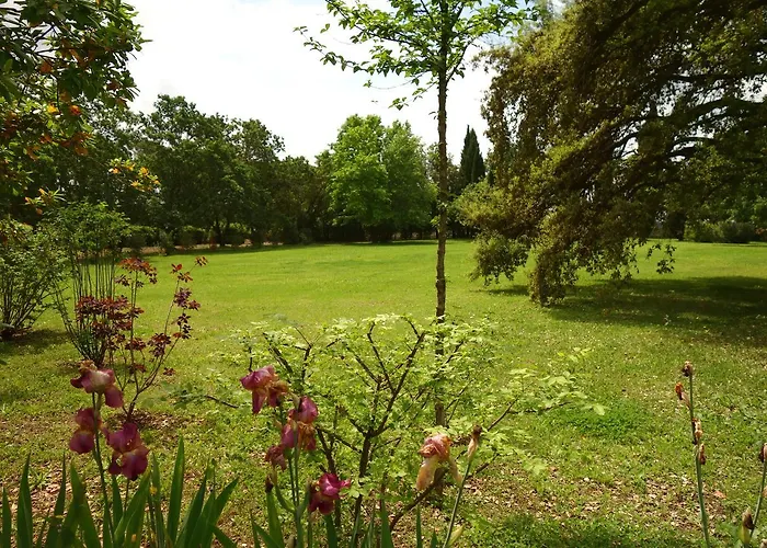 Madonnella Agricola *