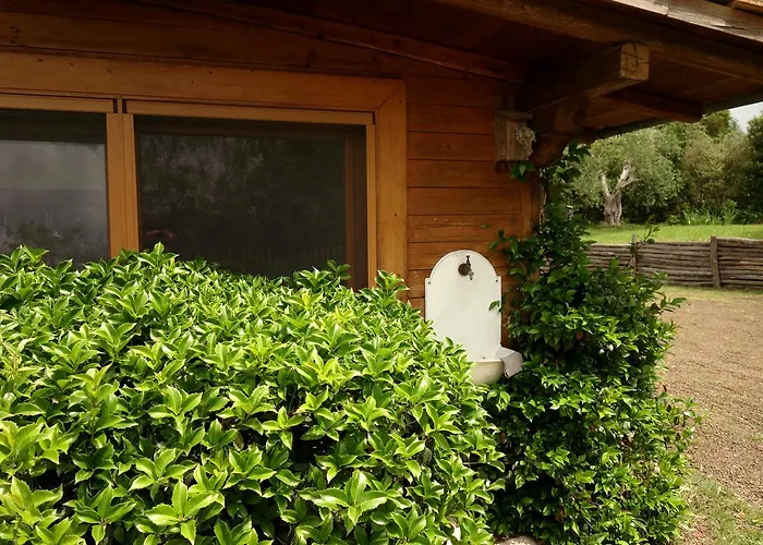 Madonnella Agricola Agroturismo Cesano