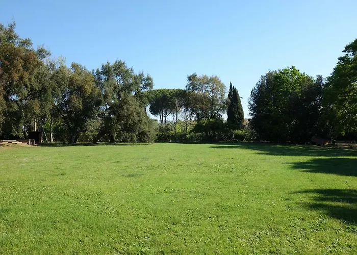 Madonnella Agricola *